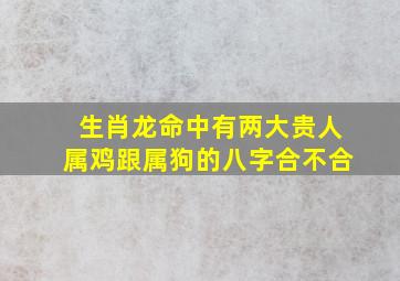 生肖龙命中有两大贵人属鸡跟属狗的八字合不合