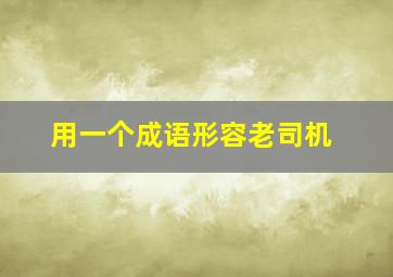 用一个成语形容老司机