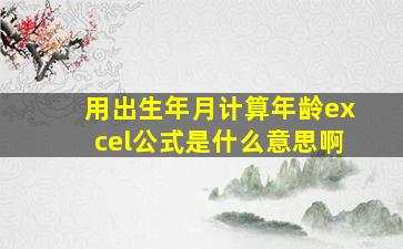 用出生年月计算年龄excel公式是什么意思啊