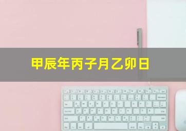 甲辰年丙子月乙卯日