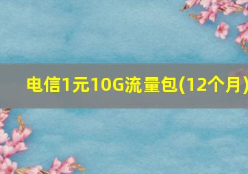 电信1元10G流量包(12个月)