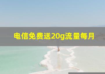 电信免费送20g流量每月