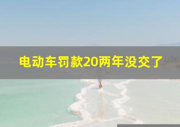 电动车罚款20两年没交了