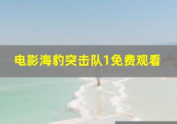 电影海豹突击队1免费观看