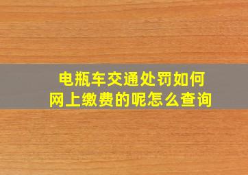 电瓶车交通处罚如何网上缴费的呢怎么查询