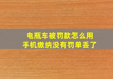 电瓶车被罚款怎么用手机缴纳没有罚单丢了