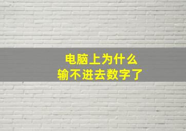 电脑上为什么输不进去数字了