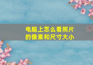 电脑上怎么看照片的像素和尺寸大小