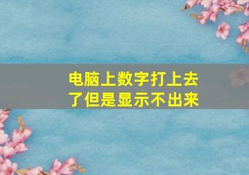 电脑上数字打上去了但是显示不出来