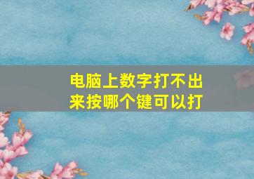 电脑上数字打不出来按哪个键可以打