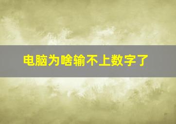 电脑为啥输不上数字了