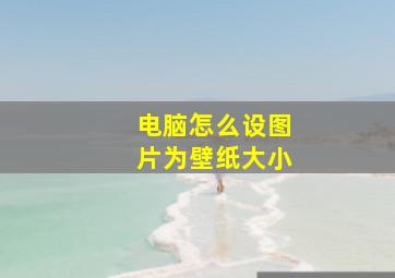 电脑怎么设图片为壁纸大小