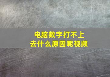 电脑数字打不上去什么原因呢视频