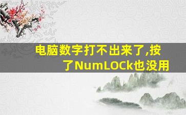 电脑数字打不出来了,按了NumLOCk也没用