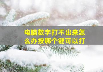 电脑数字打不出来怎么办按哪个键可以打