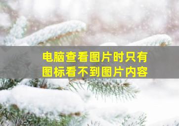 电脑查看图片时只有图标看不到图片内容