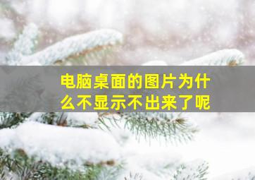 电脑桌面的图片为什么不显示不出来了呢