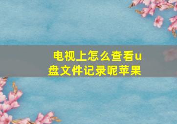 电视上怎么查看u盘文件记录呢苹果