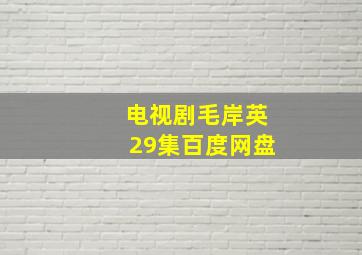 电视剧毛岸英29集百度网盘