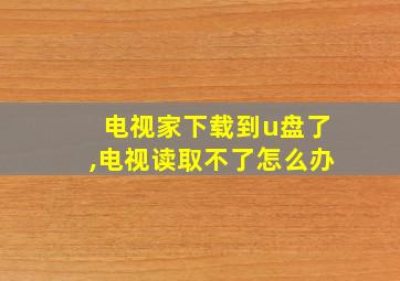 电视家下载到u盘了,电视读取不了怎么办