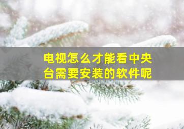 电视怎么才能看中央台需要安装的软件呢