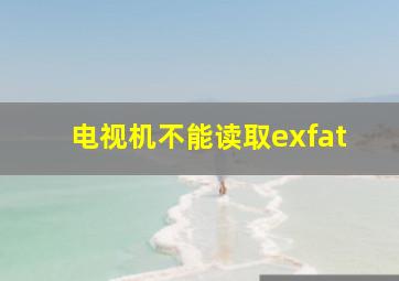 电视机不能读取exfat