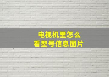 电视机里怎么看型号信息图片