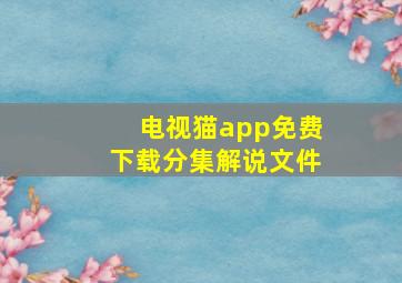 电视猫app免费下载分集解说文件