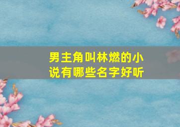 男主角叫林燃的小说有哪些名字好听