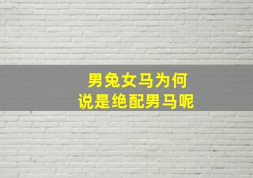 男兔女马为何说是绝配男马呢