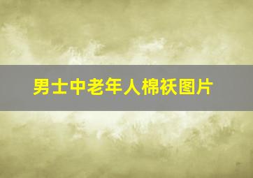 男士中老年人棉袄图片