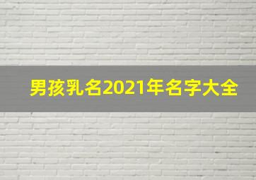 男孩乳名2021年名字大全