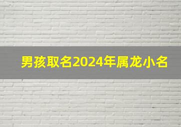 男孩取名2024年属龙小名