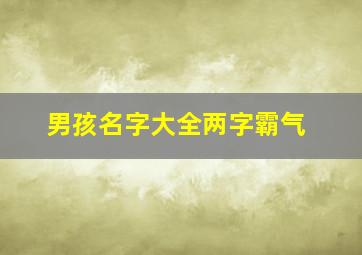 男孩名字大全两字霸气