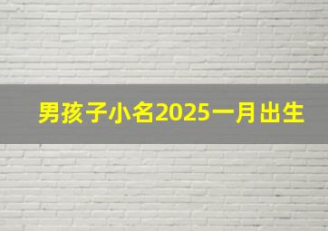 男孩子小名2025一月出生