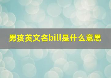 男孩英文名bill是什么意思