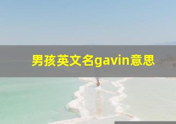 男孩英文名gavin意思