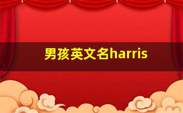 男孩英文名harris