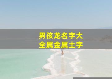 男孩龙名字大全属金属土字