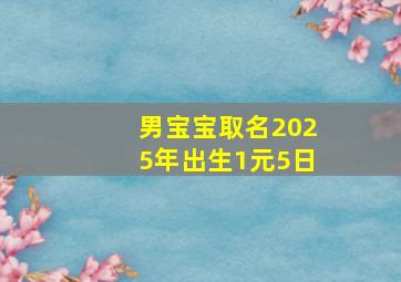 男宝宝取名2025年出生1元5日