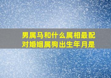 男属马和什么属相最配对婚姻属狗出生年月是