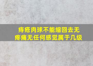 痔疮肉球不能缩回去无疼痛无任何感觉属于几级