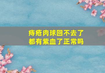 痔疮肉球回不去了都有紫血了正常吗