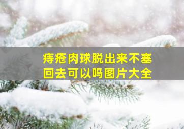 痔疮肉球脱出来不塞回去可以吗图片大全