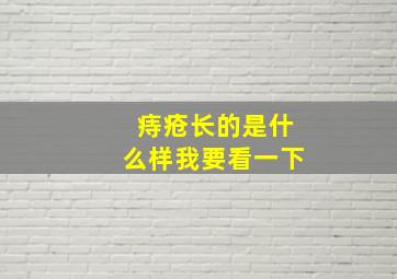 痔疮长的是什么样我要看一下