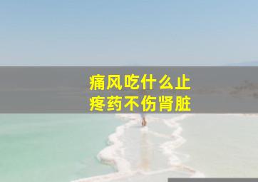 痛风吃什么止疼药不伤肾脏