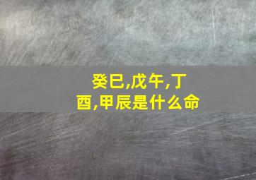 癸巳,戊午,丁酉,甲辰是什么命