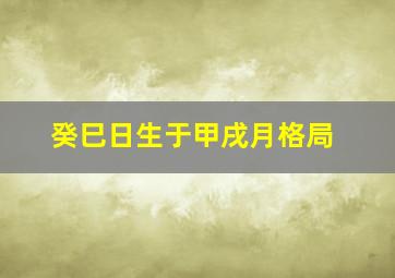 癸巳日生于甲戌月格局