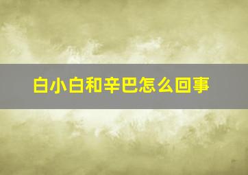 白小白和辛巴怎么回事