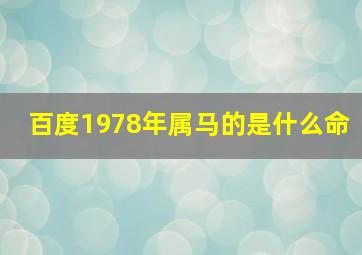 百度1978年属马的是什么命